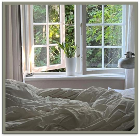 Edelsminde Bed & Breakfast Haslev Екстериор снимка
